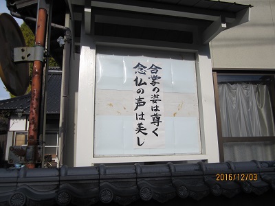 薬師寺7