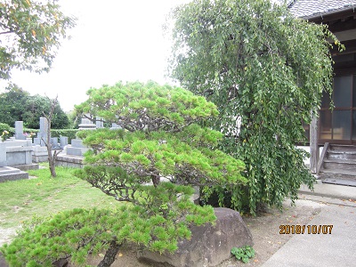 秋月寺18