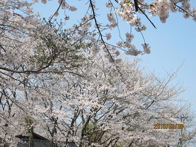 神護寺56