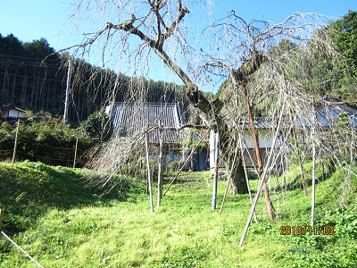 深泉寺31