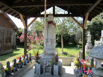妙覚寺12