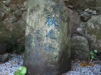 南蔵院-5
