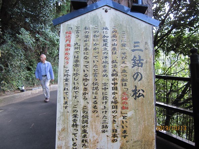 南蔵院-44