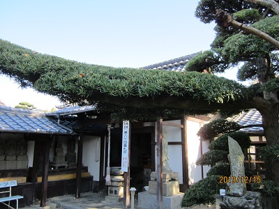 中町屋島寺-3
